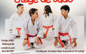 Stage de judo