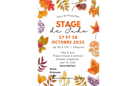 Stage de Judo